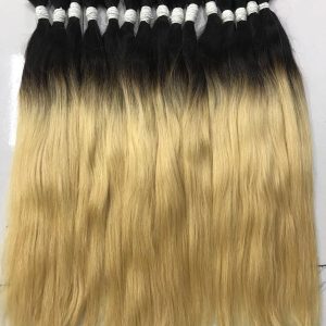 Ombre hair  color  #1b/#60